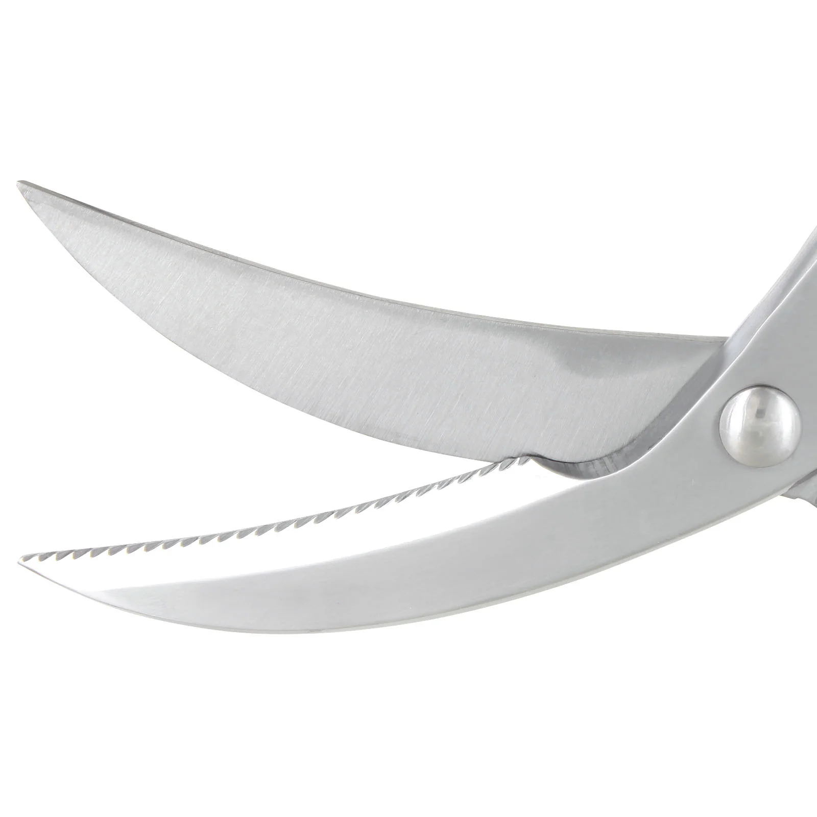 Westmark Poultry Shears "Classic" - #1371 - Image 3